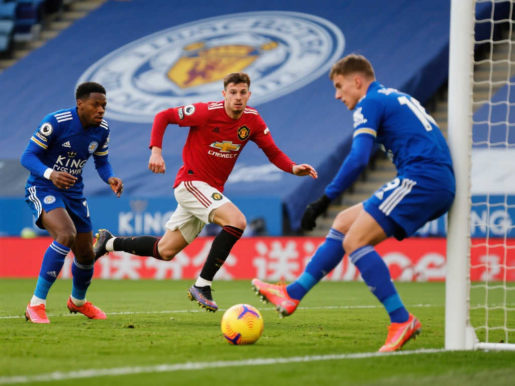 是教练团队 是教练团队